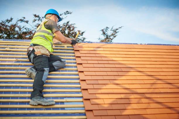 Best Chimney Flashing Repair  in Murphy, NC